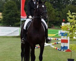 dressage horse Horatius (Rhinelander, 2004, from His Highness)