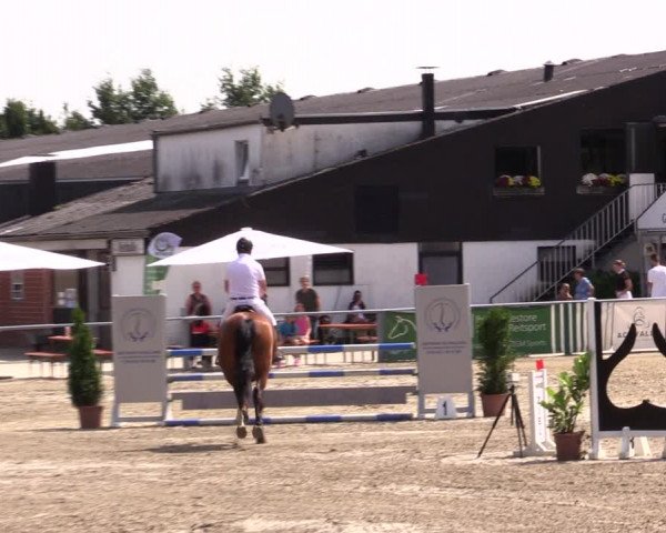 Reitturnier Datteln 2021