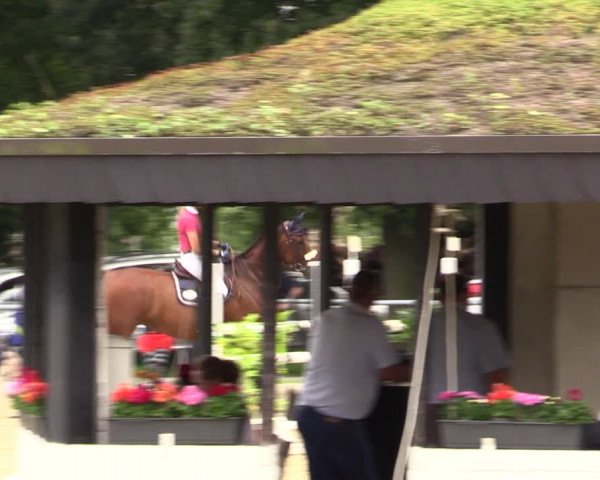Reitturnier Datteln 2021