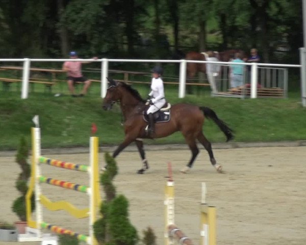 Bergisch Classics - Bergisch Gladbach - Springen 2021