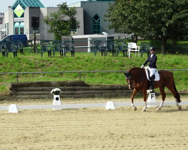 Reitturnier Kirchhoven-Vinn 2021