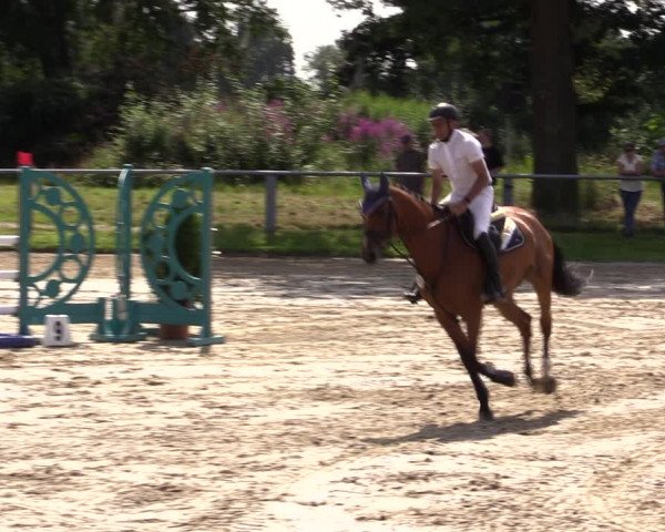 Reitturnier Datteln 2021