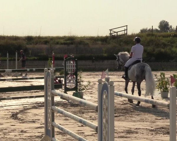 Reitturnier Schülp / Rendsburg 2021