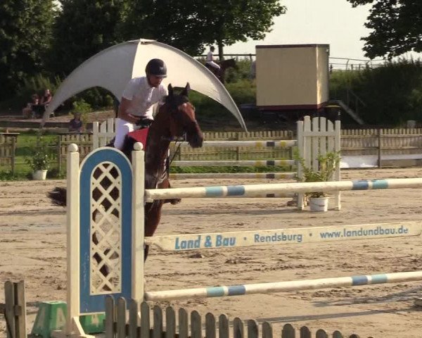 Reitturnier Schülp / Rendsburg 2021