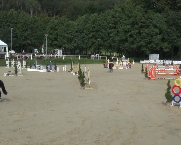 Bergisch Classics - Bergisch Gladbach - Springen 2021