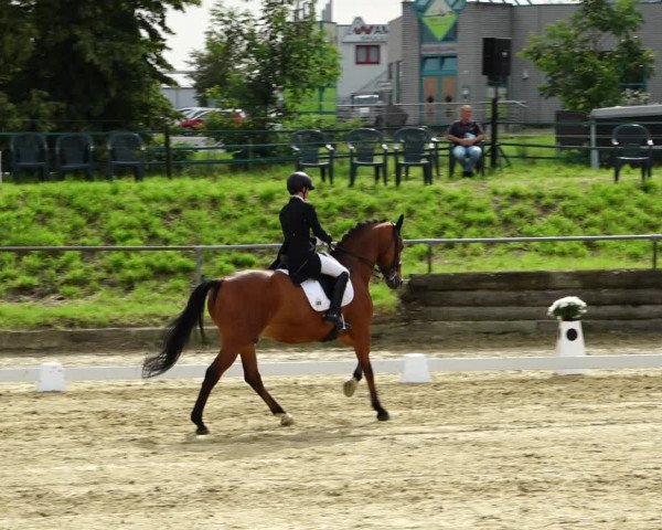 Reitturnier Kirchhoven-Vinn 2021