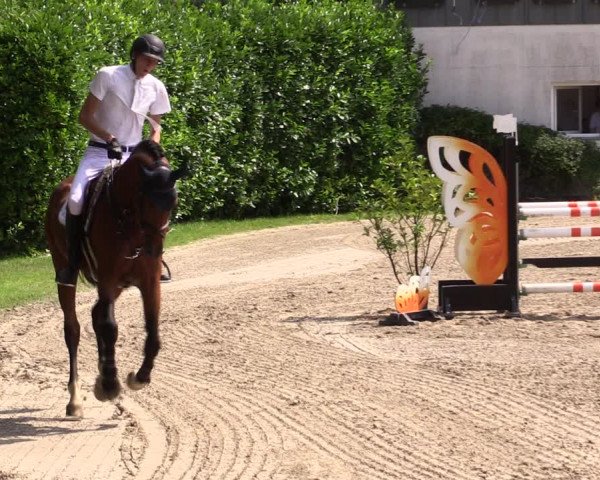 Reitturnier Datteln 2021