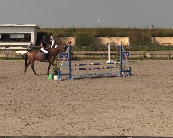Reitturnier Schülp / Rendsburg 2021