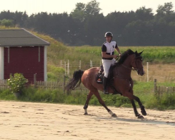 Reitturnier Schülp / Rendsburg 2021