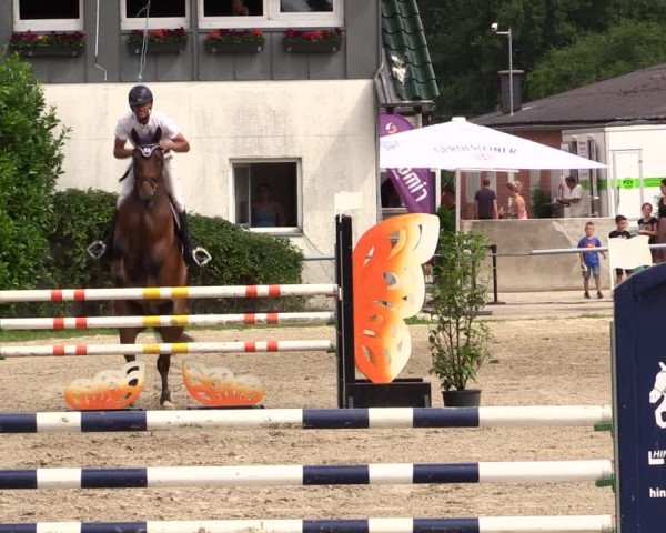 Reitturnier Datteln 2021