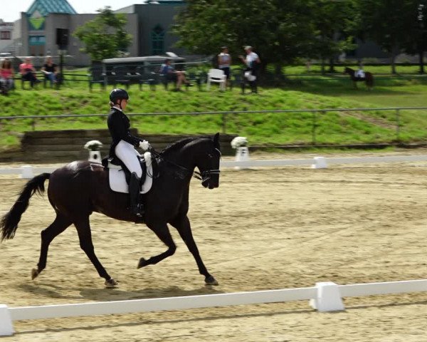 Reitturnier Kirchhoven-Vinn 2021