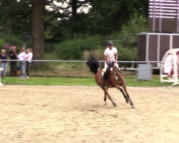 Reitturnier Datteln 2021