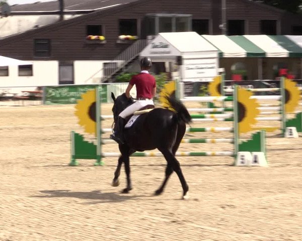 Reitturnier Datteln 2021