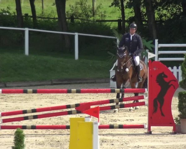 Bergisch Classics - Bergisch Gladbach - Springen 2021