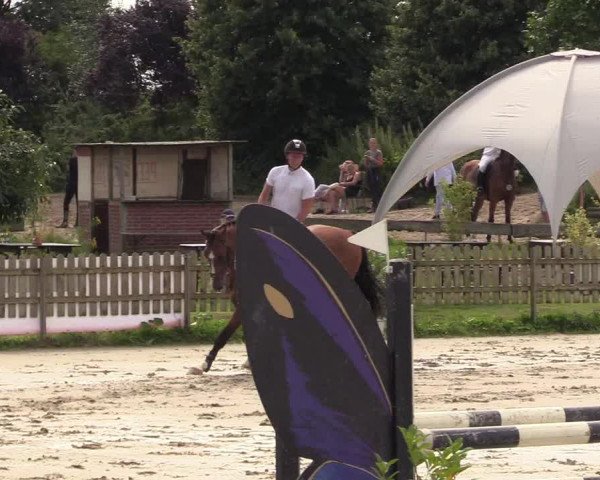 Reitturnier Schülp / Rendsburg 2021