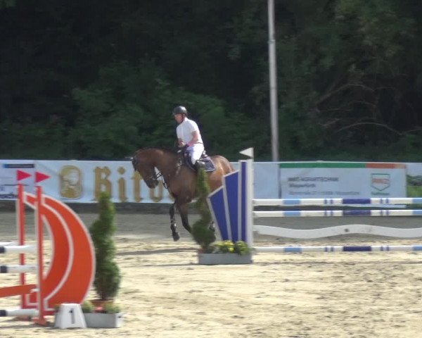 Bergisch Classics - Bergisch Gladbach - Springen 2021