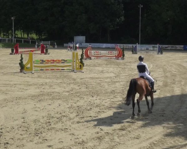 Bergisch Classics - Bergisch Gladbach - Springen 2021