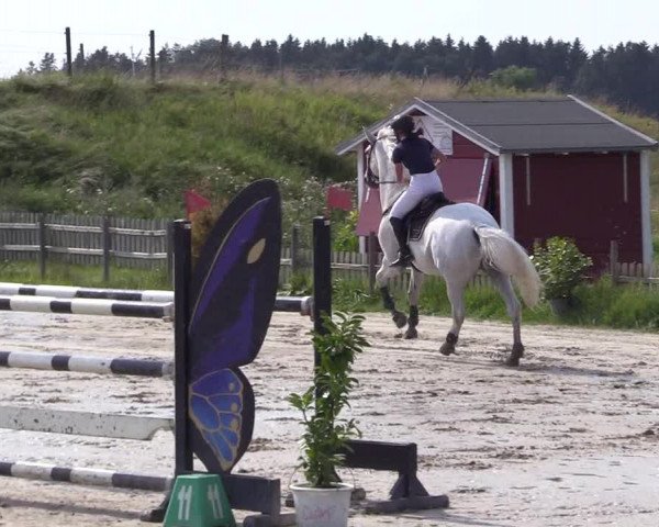 Reitturnier Schülp / Rendsburg 2021