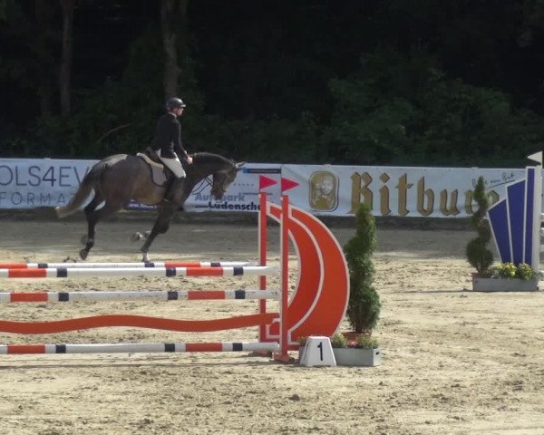 Bergisch Classics - Bergisch Gladbach - Springen 2021