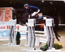 jumper Cedrick 13 (Oldenburg show jumper, 2009, from C-Max)