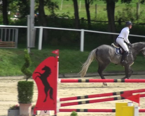 Bergisch Classics - Bergisch Gladbach - Springen 2021