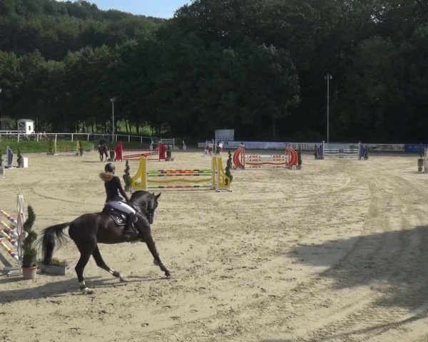 Bergisch Classics - Bergisch Gladbach - Springen 2021