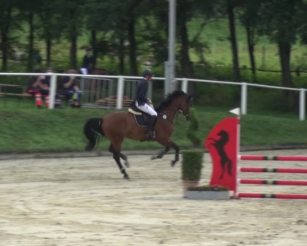 Bergisch Classics - Bergisch Gladbach - Springen 2021