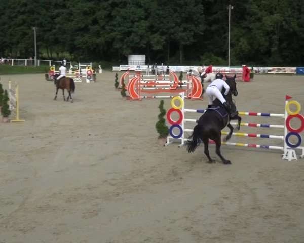 Bergisch Classics - Bergisch Gladbach - Springen 2021