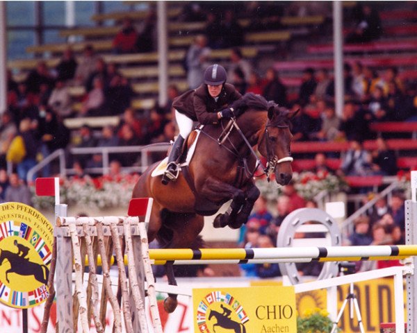 broodmare Stella (American Warmblood, 1989, from Quick Star)
