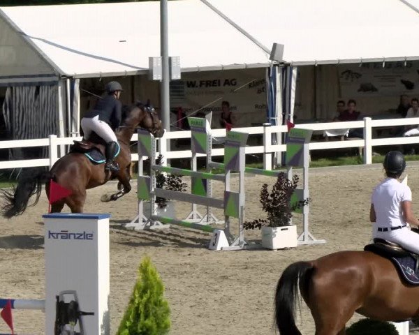 Pferdesporttage Rafzerfeld - Hüntwangen 2021
