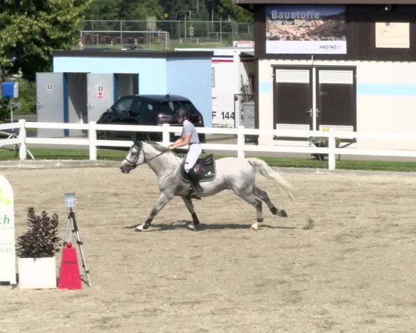 Pferdesporttage Rafzerfeld - Hüntwangen 2021