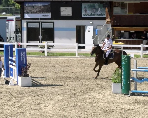 Pferdesporttage Rafzerfeld - Hüntwangen 2021