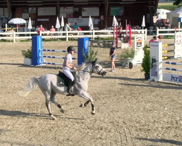 Pferdesporttage Rafzerfeld - Hüntwangen 2021