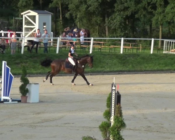 Bergisch Classics - Bergisch Gladbach - Springen 2021