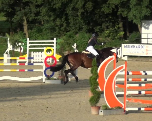 Bergisch Classics - Bergisch Gladbach - Springen 2021