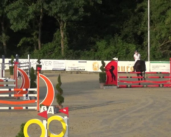 Bergisch Classics - Bergisch Gladbach - Springen 2021