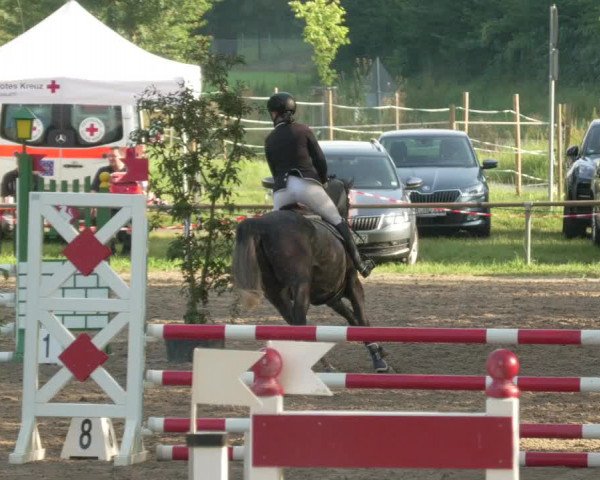 Springturnier und Reiterfest Königsbach 2021