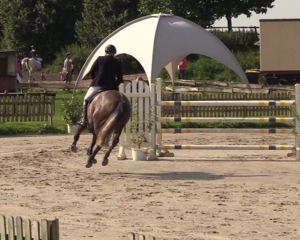 Reitturnier Schülp / Rendsburg 2021