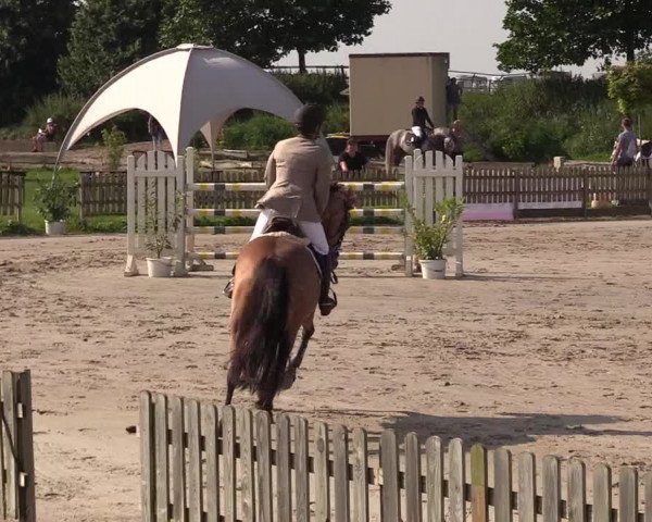 Reitturnier Schülp / Rendsburg 2021