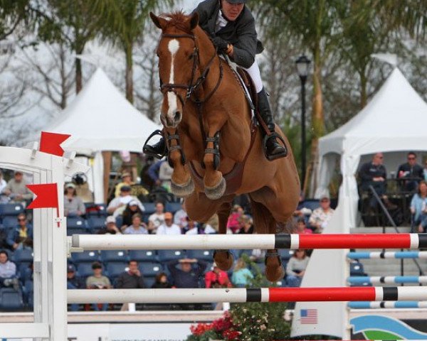 Springpferd Naomi 152 (Holsteiner, 1998, von Coriano)