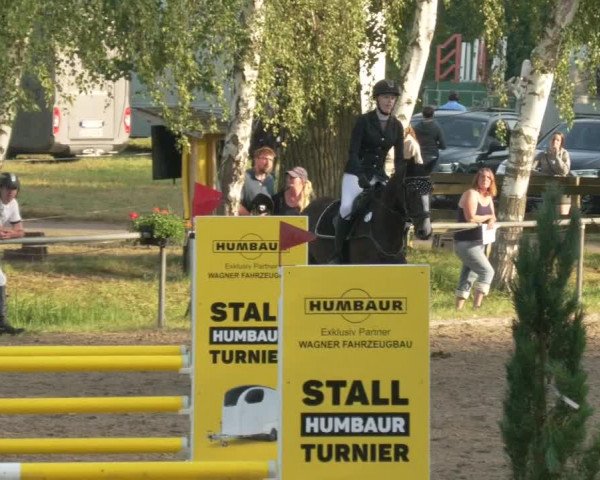 Springturnier und Reiterfest Königsbach 2021