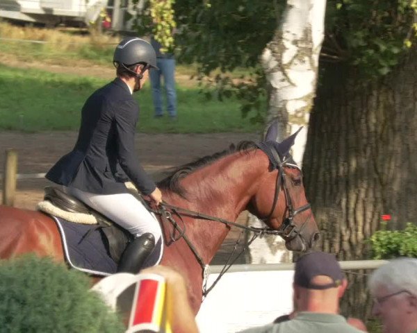 Springturnier und Reiterfest Königsbach 2021