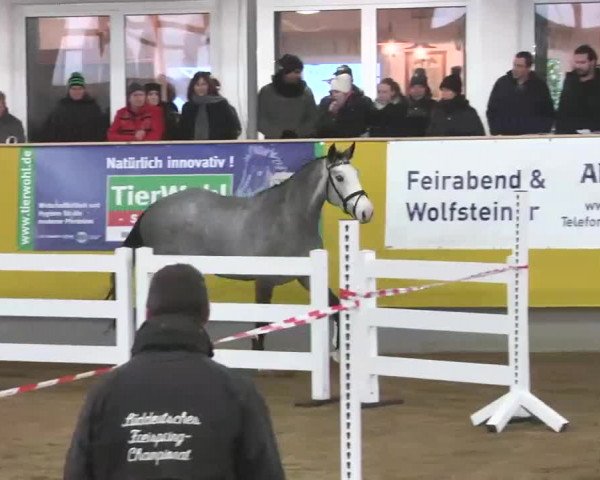 Süddeutsches Freispringchampionat 2015 - Röhlingen