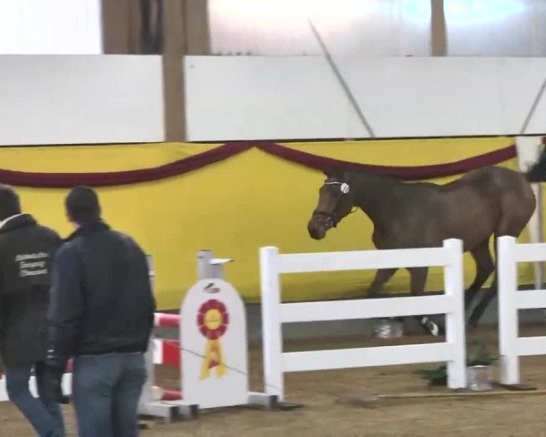 Süddeutsches Freispringchampionat 2015 - Röhlingen