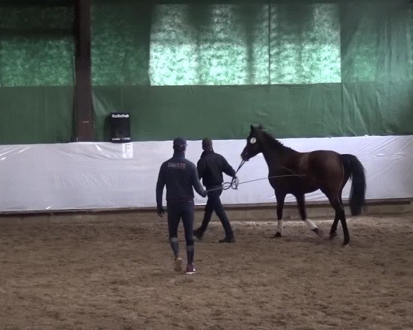 Freispringwettbewerb Lindlar 2016