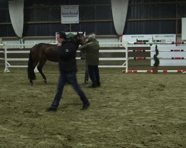Freispringwettbewerb Rhede Krommert am 19.02.2016