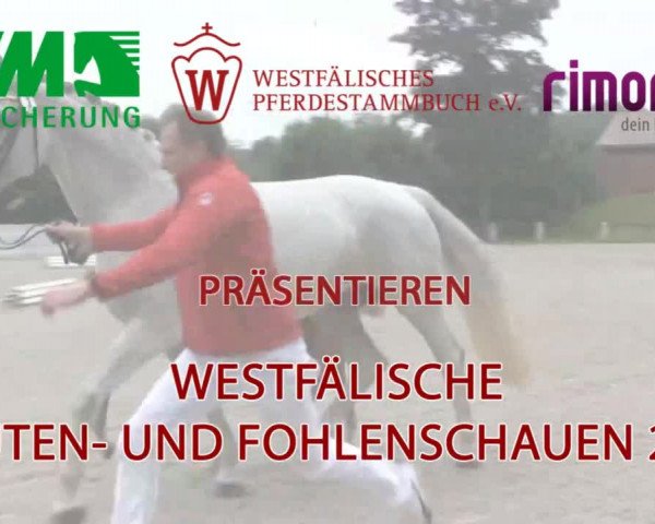 Stuten- und Fohlenschau in Herbern  2016