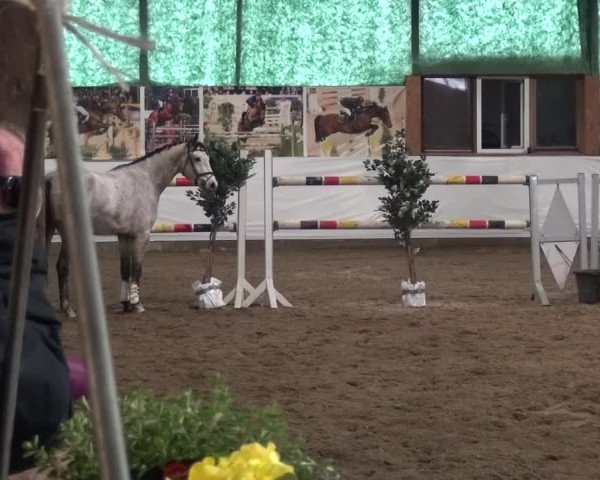 Freispringwettbewerb Lindlar 2016