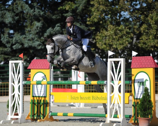 jumper Esma Ludine S (KWPN (Royal Dutch Sporthorse), 2009, from Campbell VDL)
