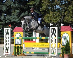 jumper Esma Ludine S (KWPN (Royal Dutch Sporthorse), 2009, from Campbell VDL)
